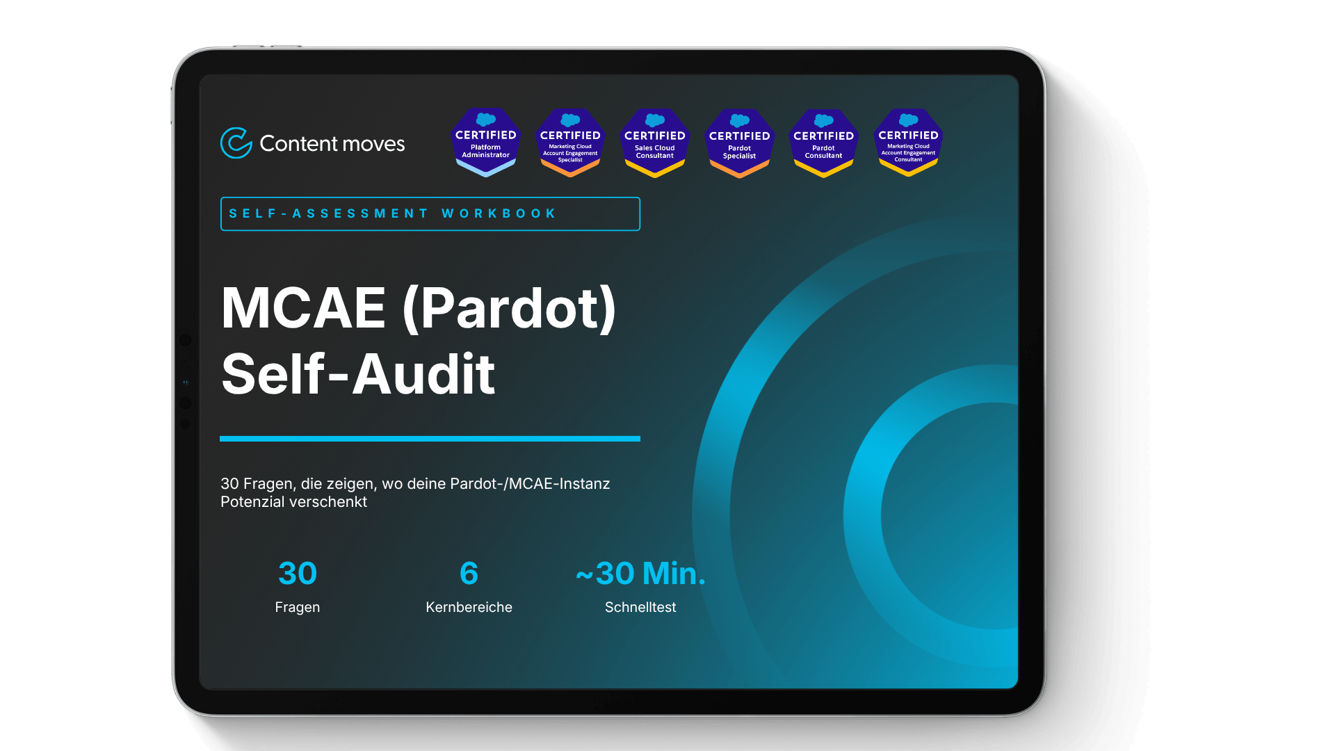 MCAE Audit Workbook